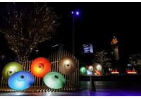 IMG_7743